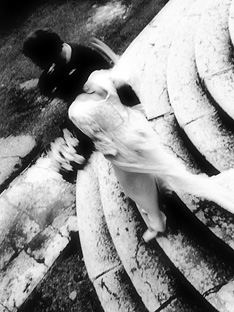 Photography wedding: Professional Wedding Photographer for Weddings in Lakes Area.