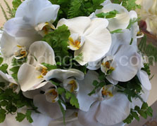 Cascade Bouquet