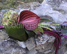 Arm/Clutch Bouquet