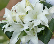 Crescent Bouquet