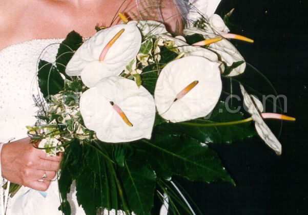 Arm/Clutch Bouquet