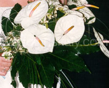 Arm/Clutch Bouquet