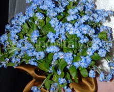 Arm/Clutch Bouquet