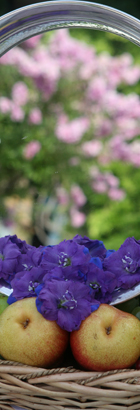 Wedding Flowers in Italy: Classic Atmosphere