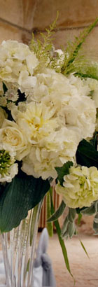 edding Flowers Atmospheres : Luxury Atmosphere