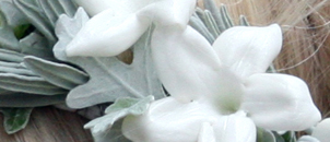 edding Flowers Atmospheres : Luxury Atmosphere