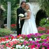 Wedding Testimonials
