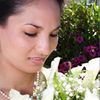 Wedding Testimonials