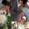 Wedding Testimonials