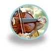 Musik in Italien 