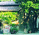 Historical Houses - Villas