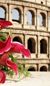 Rome wedding