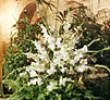 Weddings Services in Italy