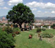 Wedding Settings in Italy: Gardens