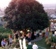 Wedding Settings in Italy: Gardens