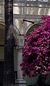 Wedding in Sicily