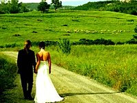Wedding in Chianti