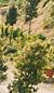 Wedding in Umbria and Marche