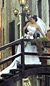 Venice Wedding