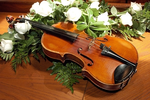 Music in Italy - VIOLIN 