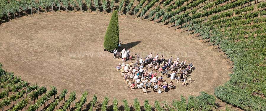 Unusual wedding in Tuscan vineyards Unusual wedding in Tuscan vineyards