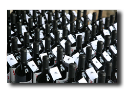 Wine Tasting Tour