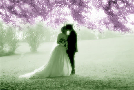 Photography wedding: Professional Wedding Photographer for Weddings in Lakes Area.