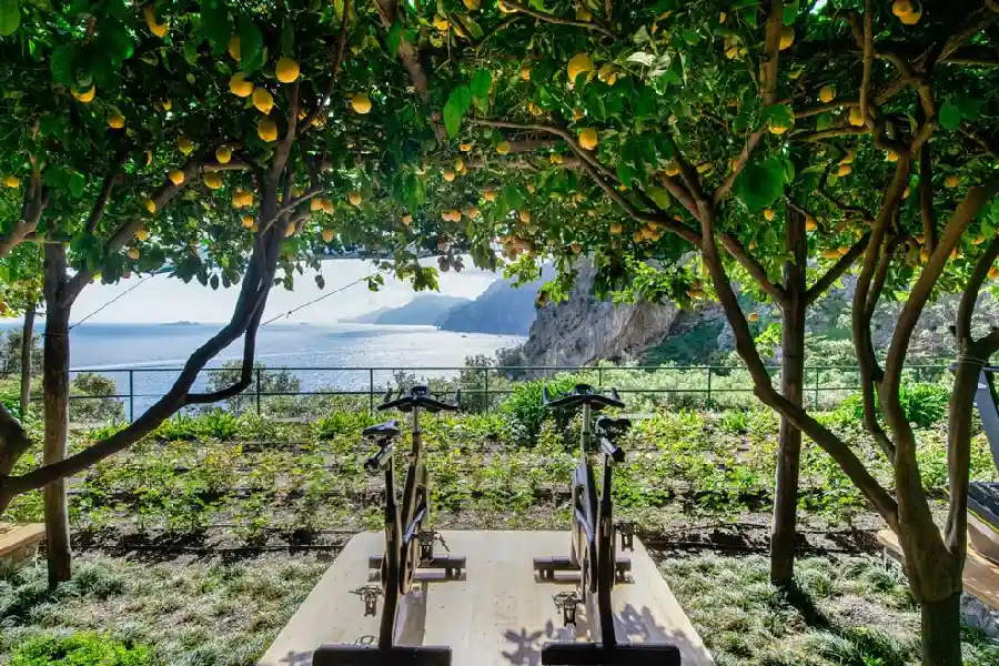 Wedding Il San Pietro Positano