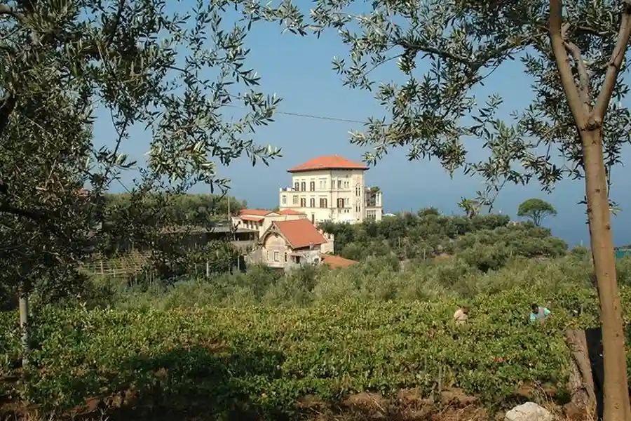 Wedding Villa Angelina Sorrento