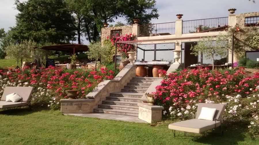 Lets go party... and make pizza