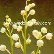 Convallaria