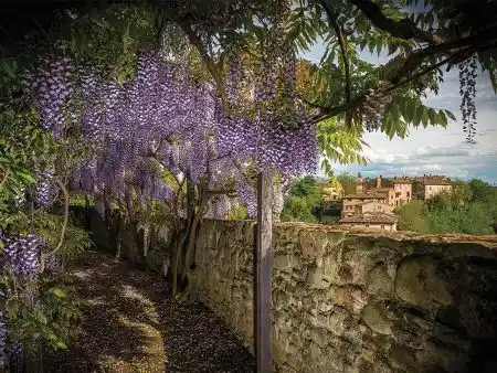 Wedding in Italy Relais Il Borro