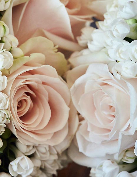 FLOWER VISUAL DICTIONARY