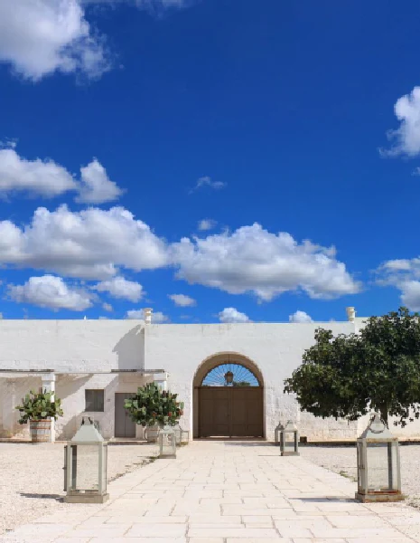 Luxury minimalist wedding in Puglia – Masseria Potenti Luxury minimalist wedding in Puglia – Masseria Potenti