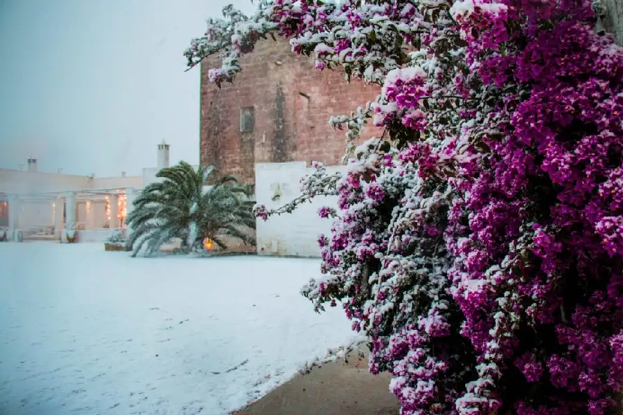 Wedding reception Masseria Potenti Puglia