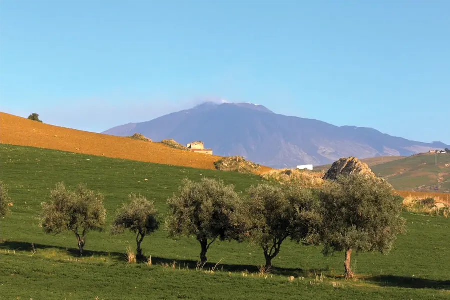 Wedding Mount Etna Sicily