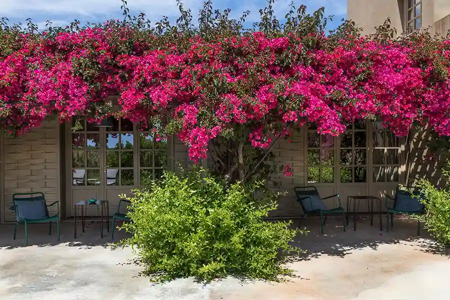 Wedding Villa Dorata Noto