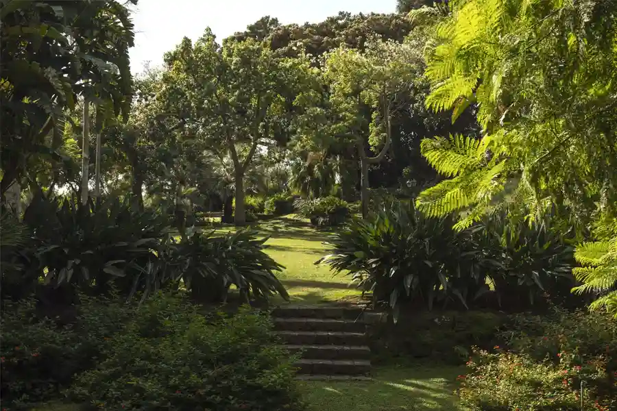 Villa La Limonaia | Acireale Sicily – Lemon Grove Wedding Venue