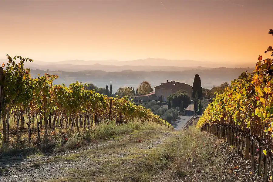 Wedding Borgo Argiano Montalcino