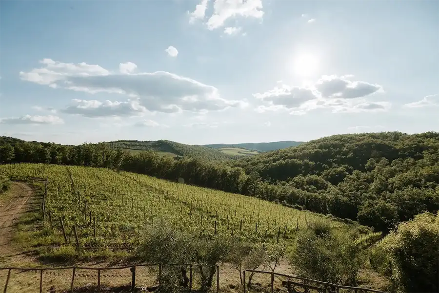 Wedding Borgo casa al vento Gaiole in Chianti