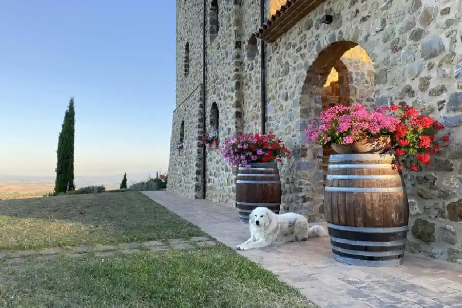 Wedding at Podere Montale – Tuscan borgo overlooking Val d’Orcia