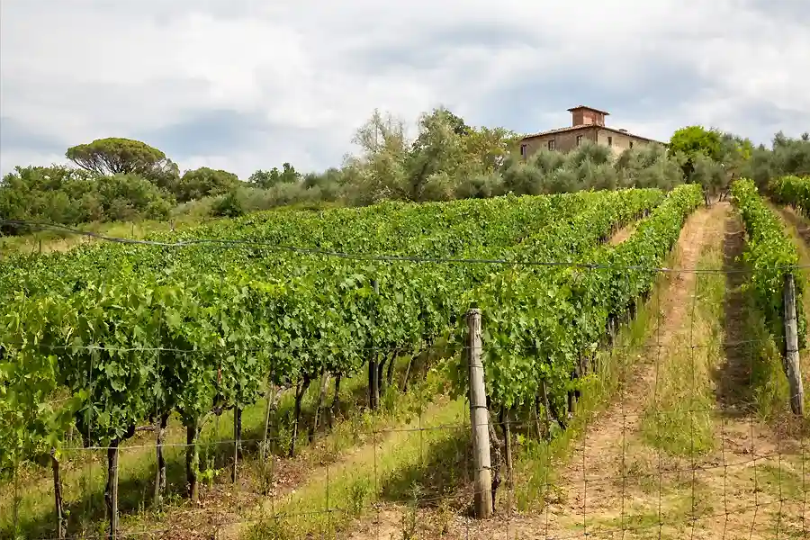 Wedding Villa La Palagina Chianti Florence