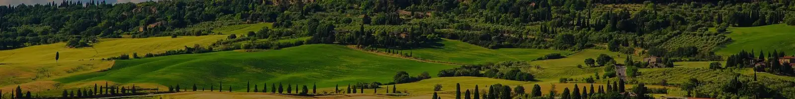 Weddings in Tuscany