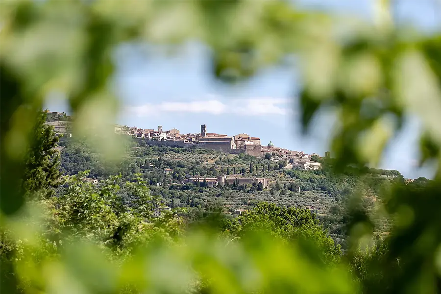 Il Falconiere: Luxury Wedding Venue in Arezzo, Tuscany