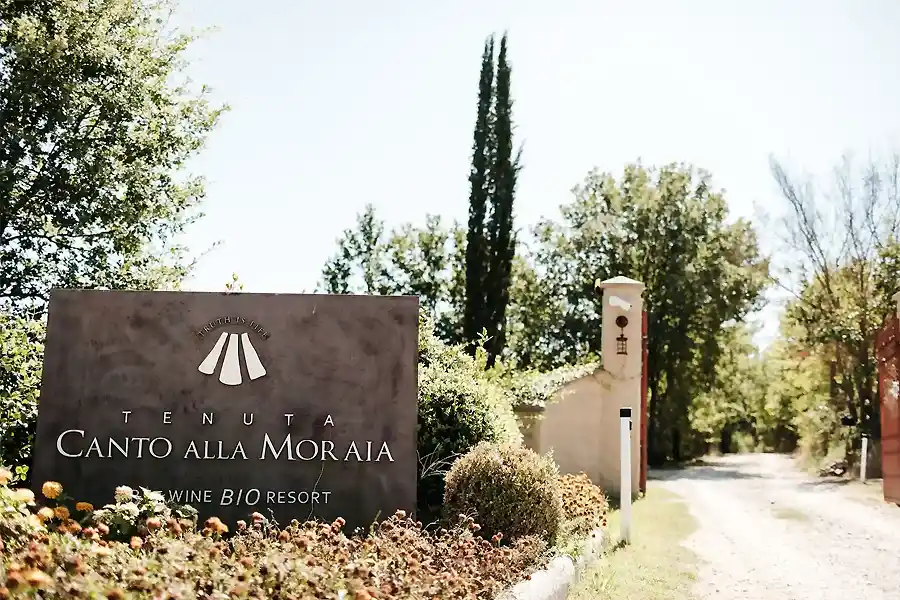 Wedding in tenuta canto alla moraia Tuscany
