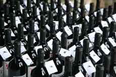 Chianti Wine Festival