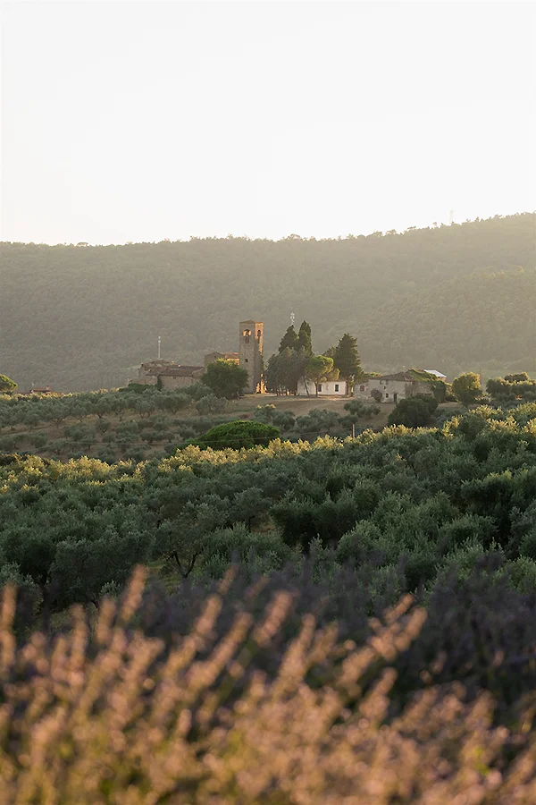 Weddings in Chianti: The Best Wedding Venues in Tuscany | Your Dream Wedding